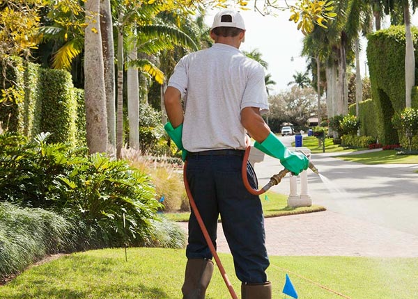 About Nesconset NY Pest Control Pros